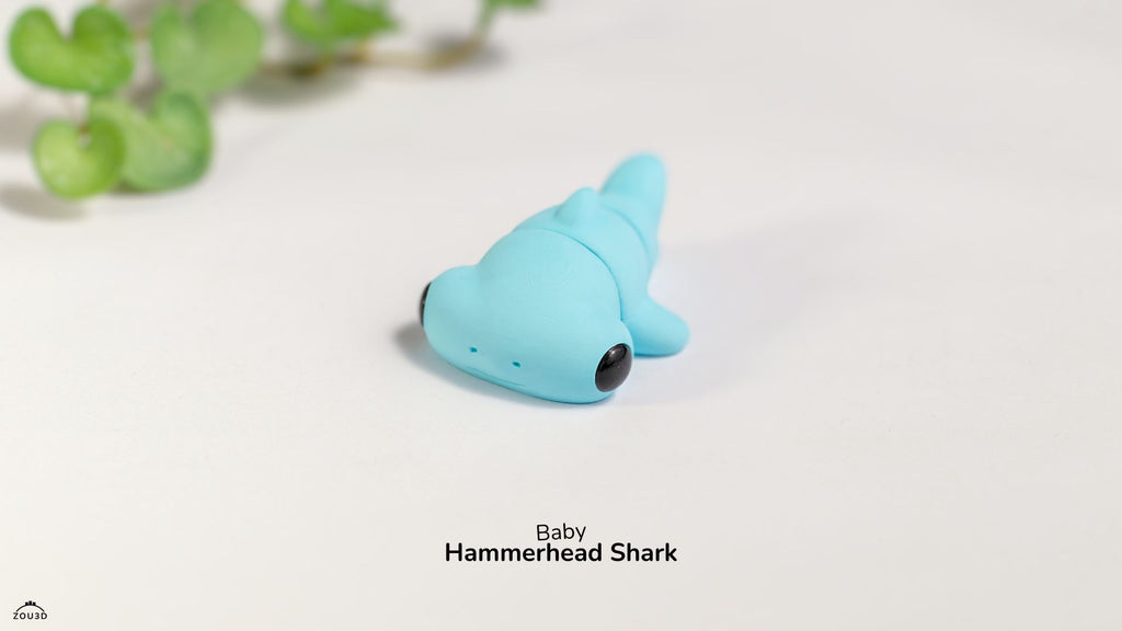 Baby Hammerhead Shark  - Figurina 3D