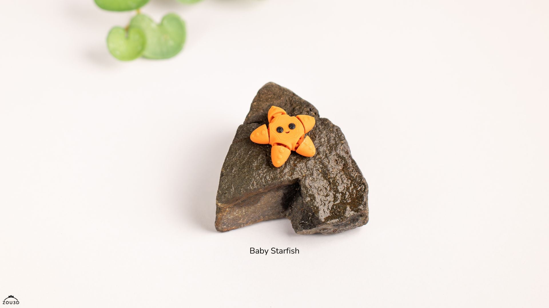 Baby Starfish - Figurina 3D